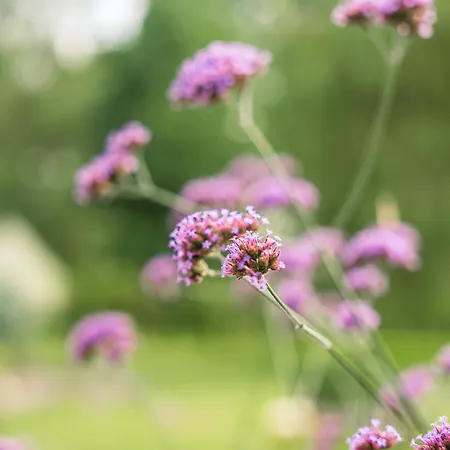 Maison Du Bonheur Avec Riviere & Spa, 4 & 2 Sdb * Tourville-en-Auge